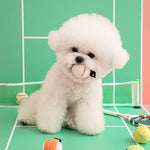 BITE ME - Mini Sports Ball Toy (3個入)
