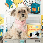 BITE ME - lt's Laundry Day Nosework Playbook