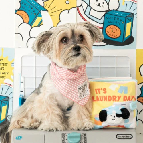 BITE ME - lt's Laundry Day Nosework Playbook